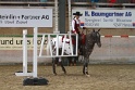 03_Greenhorn-Greenhorse Trail